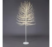 EDG Enzo De Gasperi Faggio Albero di Natale Luminoso con 1300 LED Bianco 210cm M