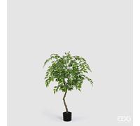 EDG Enzo De Gasperi Ficus Beniamino Vogue con Vaso Pianta Artificiale H 100 Cm Verde