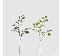 EDG Enzo De Gasperi Ficus Benjiamin Rex Ass. H 73 Cm Pianta Artificiale Bianco Verde 1 Pz