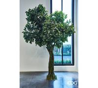EDG Enzo De Gasperi Ficus Pianta Artificiale con Base H 340 Cm D 220 Cm Green