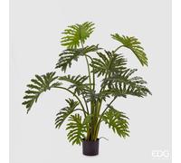 EDG Enzo De Gasperi Filodendro Con Vaso H.135 C4 Green