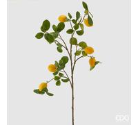 EDG Enzo De Gasperi Limone Rex Ramo C/7 Frutti H110 B9 Yellow Green