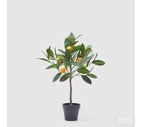 EDG Enzo De Gasperi Mandarino con Vaso H 56 Cm Pianta Artificiale Mix Verde