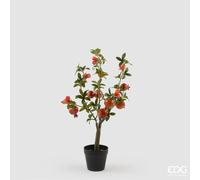 EDG Enzo De Gasperi Melograno con Vaso e Foglie x8 Pianta Artificiale H 60 Cm Coral