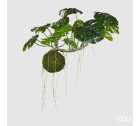 EDG Enzo De Gasperi Monstera Bell Pianta da Appendere Artificiale H 70 Cm L 110 Cm Green