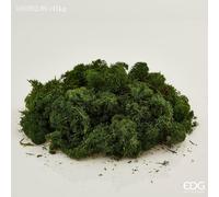 EDG Enzo De Gasperi Muschio Lichene Stabilizzato Artificiale Verde Scuro - Muschio Decorativo Natalizio