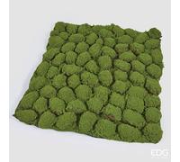 EDG Enzo De Gasperi Muschio Tappeto Artificiale H 5 Cm L 100 cm L 100 Cm Verde