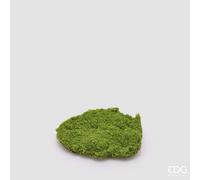 EDG Enzo De Gasperi Muschio Zolla Artificiale H 5 Cm D 20 Cm Verde