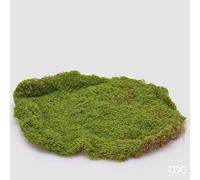 EDG Enzo De Gasperi Muschio Zolla Artificiale H 5 Cm D 40 Cm Verde