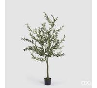 EDG Enzo De Gasperi Olivo con Vaso H 190 Cm Pianta Artificiale Verde