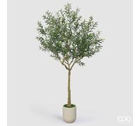 EDG Enzo De Gasperi Olivo con Vaso H 240 Cm Pianta Artificiale Verde