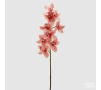 EDG Enzo De Gasperi Orchidea Cymbidium H 90 Cm Rosa