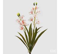 EDG Enzo De Gasperi Orchidea Cymbidium Real H 59 Cm Bianco Rosa