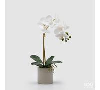 EDG Enzo De Gasperi Orchidea Phalaenopsis con Foglie e Vaso H 47 Cm Pianta Artificiale Bianco
