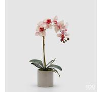 EDG Enzo De Gasperi Orchidea Phalaenopsis con Foglie e Vaso H 47 Cm Pianta Artificiale Bianco Rosa