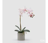 EDG Enzo De Gasperi Orchidea Phalaenopsis con Foglie e Vaso H 47 Cm Pianta Artificiale Bianco Rosa Chiaro