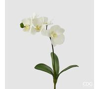 EDG Enzo De Gasperi Orchidea Phalaenopsis con Foglie H 37 Cm Bianco