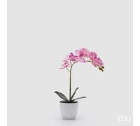 EDG Enzo De Gasperi Orchidea Phalaenopsis con Vaso e Foglie H 40 Cm Pianta Artificiale Fuchsia