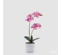 EDG Enzo De Gasperi Orchidea Phalaenopsis con Vaso e Foglie H 50 Cm Pianta Artificiale Fuchsia