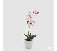 EDG Enzo De Gasperi Orchidea Phalaenopsis con Vaso e Foglie H 50 Cm Pianta Artificiale Rosa Chiaro