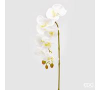 EDG Enzo De Gasperi Orchidea Phalaenopsis Olis Ramo 3D x7 Artificiale H 85 Cm White