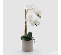 EDG Enzo De Gasperi Orchidea Phalaenopsis x2 con Foglie e Vaso H 51 Cm Pianta Artificiale Bianco
