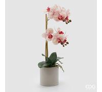EDG Enzo De Gasperi Orchidea Phalaenopsis x2 con Foglie e Vaso H 51 Cm Pianta Artificiale Bianco Rosa