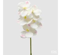 EDG Enzo De Gasperi Orchidea Vanda Ramo H 65 Cm Pianta Artificiale Avorio