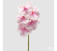 EDG Enzo De Gasperi Orchidea Vanda Ramo H 65 Cm Pianta Artificiale Bianco Rosa