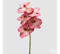 EDG Enzo De Gasperi Orchidea Vanda Ramo H 65 Cm Pianta Artificiale Rosa