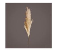 EDG Enzo De Gasperi Pampas ramo artificiale pampas lungo 18 ciuffi avorio H130 cm