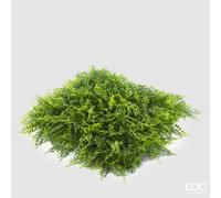 EDG Enzo De Gasperi Pannello Verticale Felce Siepe 1x1 m Verde - Parete Verde Artificiale