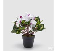 EDG Enzo De Gasperi Pianta Artificiale Ciclamino con Foglie e Vaso H 32 Cm Bianco Viola - Pianta Decorativa Realistica Design Moderno