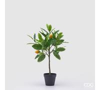 EDG Enzo De Gasperi Pianta Artificiale di Limoni con Vaso H 56 Cm Green Mix