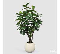 EDG Enzo De Gasperi Pianta Artificiale Ficus Lyrata Vogue con Vaso H240 cm - Pianta Decorativa Realistica Design Moderno