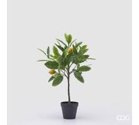 EDG - Enzo de Gasperi Pianta artificiale Limone con vaso Plastica Verde