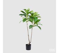 EDG Enzo De Gasperi Pianta Artificiale Nespolo Giapponese Chic x3 con Vaso H 150 Cm - Pianta Decorativa Realistica Design Moderno