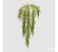 EDG Enzo De Gasperi Pianta Artificiale Ruscus Cadente H 100 Cm Verde - Pianta Decorativa Realistica Design Moderno
