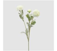 EDG - Enzo de Gasperi Pianta Ramo Ranuncolo Avorio Artificiale con Foglie, Fiore Finto Realistico per Decorazioni H50 cm