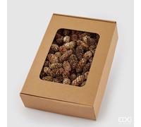 EDG Enzo De Gasperi Pigna di Natale Picea Oro H4 cm - Decorazione Natalizia