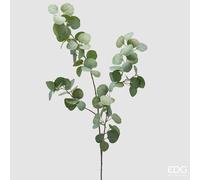 EDG Enzo De Gasperi Ramo eucalipto H 110 Cm Verde