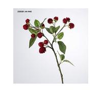 Edg - Enzo De Gasperi Ramo More Dark Red X15pz H40cm