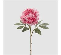 EDG - Enzo de Gasperi Ramo Peonia Royal Rosa Artificiale con Foglie, Fiore Finto Realistico H57 cm
