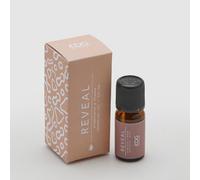 EDG Enzo De Gasperi Ricarica Olio Essenziale per Profumatore Diffusore 10ml Sinergia Reveal