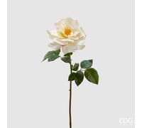 EDG Enzo De Gasperi Rosa Roya Aperta H 56 Cm Bianca