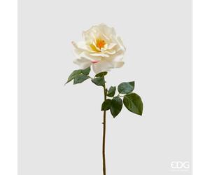 EDG Enzo De Gasperi Rosa Roya Aperta H 56 Cm Bianca