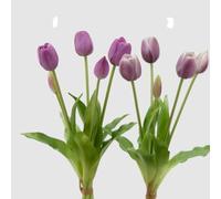 EDG Enzo De Gasperi Set 2 Bouquet di Tulipani Sfumature di Lilla