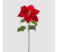 EDG Enzo De Gasperi Stella di Natale Ramo con Foglie 70x25cm Rosso