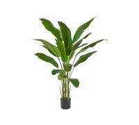 EDG Enzo de Gasperi Strelitzia Banks con Vaso da Interno o Esterno, pianta Artificiale, Finta Verde da Arredamento H155 cm