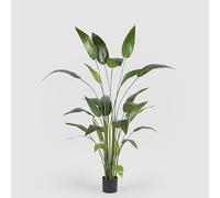 EDG Enzo De Gasperi Strelizia con Vaso x26 Pianta Artificiale H 184 Cm Verde
